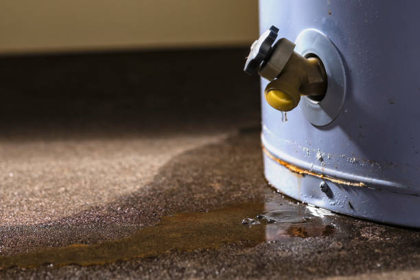 Best Basement water damage restoration  in New Haven, WV