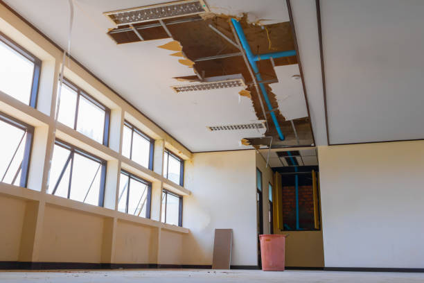  New Haven, WV Water damage restoration Pros