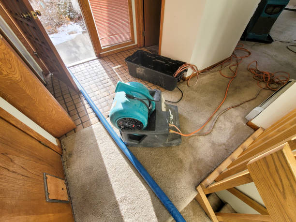 Best Water damage restoration insurance claims  in New Haven, WV