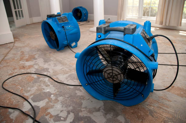 Best Water damage contractors near me  in New Haven, WV