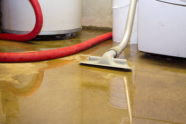 Best Flooded house restoration  in New Haven, WV
