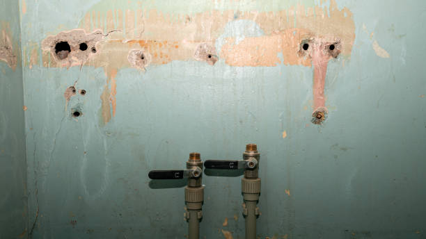 Best Ceiling water damage repair  in New Haven, WV