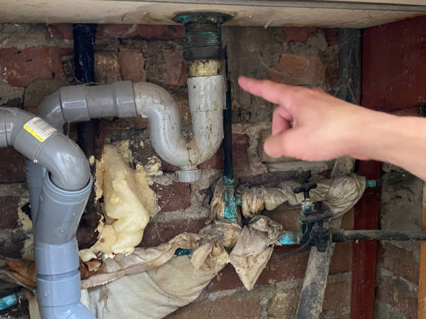 Best Local water damage restoration  in New Haven, WV