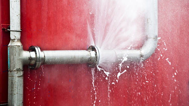 Best 24/7 water damage repair  in New Haven, WV